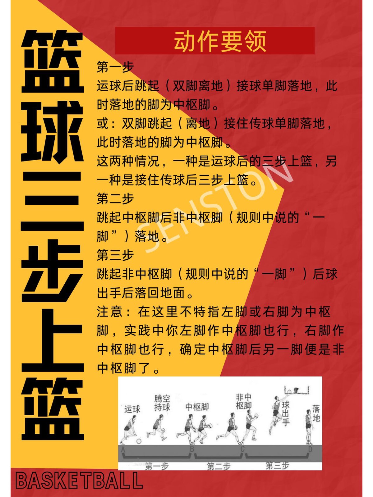 篮球训练术语大全集视频